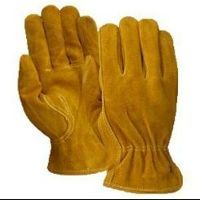 T55190 Pile Lined Suede Cowhide Glove