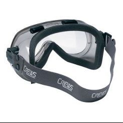 crews_goggle.jpg